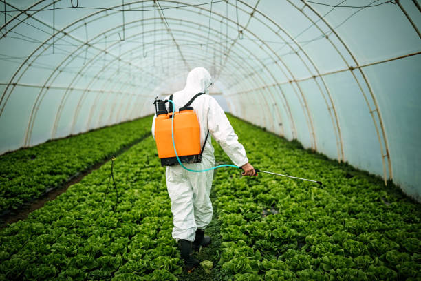 Best Pest Removal Services  in New Town, ND