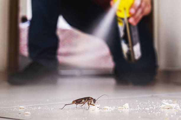 Best Pest Inspection Near Me  in New Town, ND